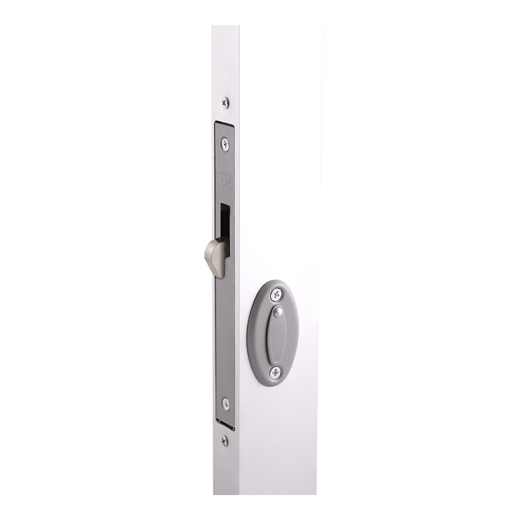 DEXTER 2019 CERRADURA X-300 DE GANCHO GRIS P/ALUMINIO