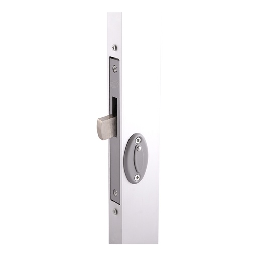 DEXTER 2016 CERRADURA X-300  DE PALETA GRIS P/ALUMINIO